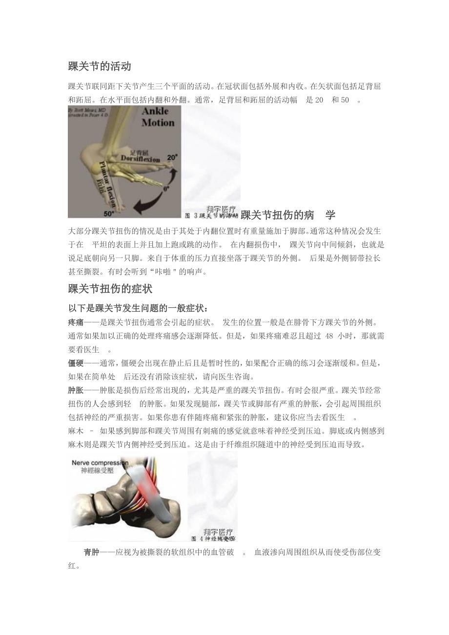 踝关节的损伤预防机制与运动康复训练_第2页