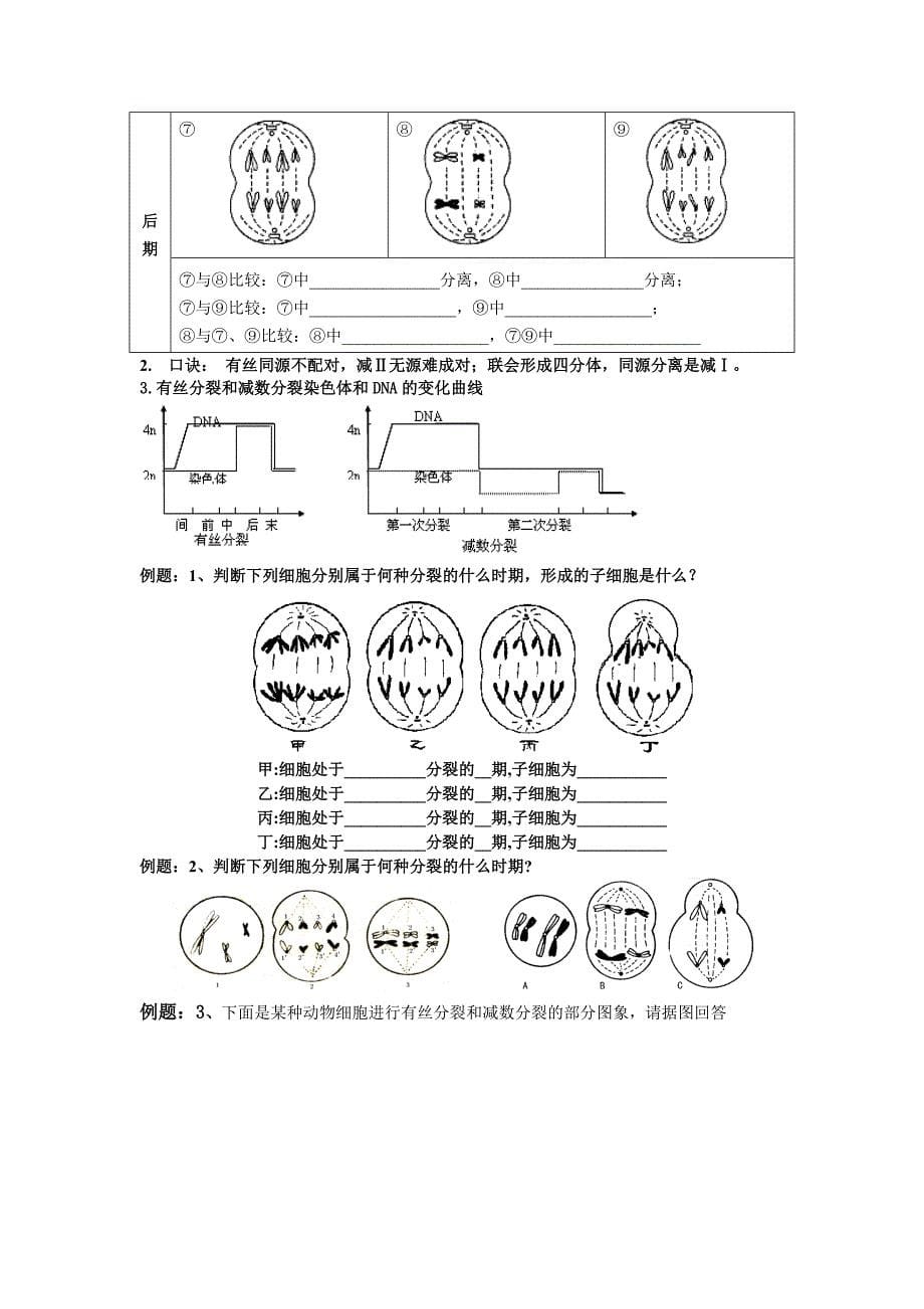 减数分裂和受精作用导学案2_第5页