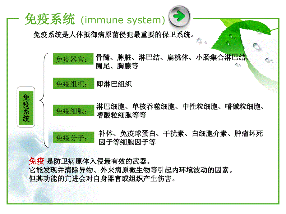 人体奥妙之细胞的暗战_第4页