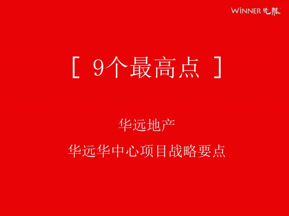 长华远华中心项目战略要点_第3页