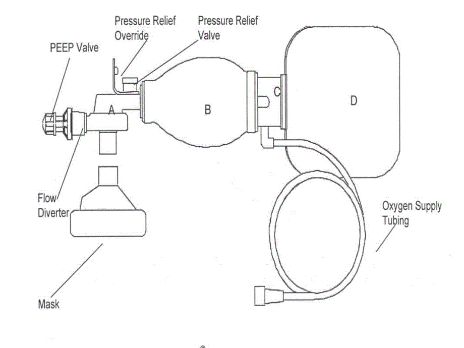 简易呼吸气囊使用完整版_第4页