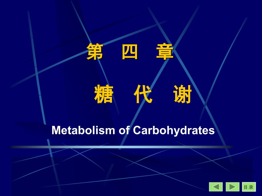 第04章糖代谢7版_第1页