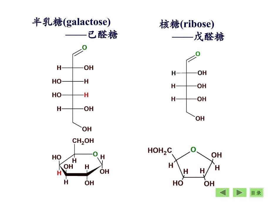 第04章糖代谢7版_第5页