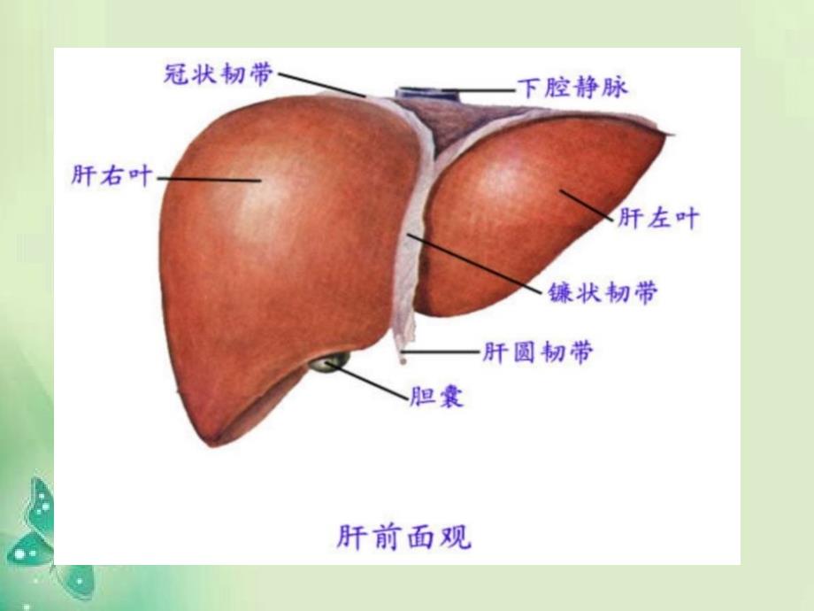 手术室护理查房_第3页