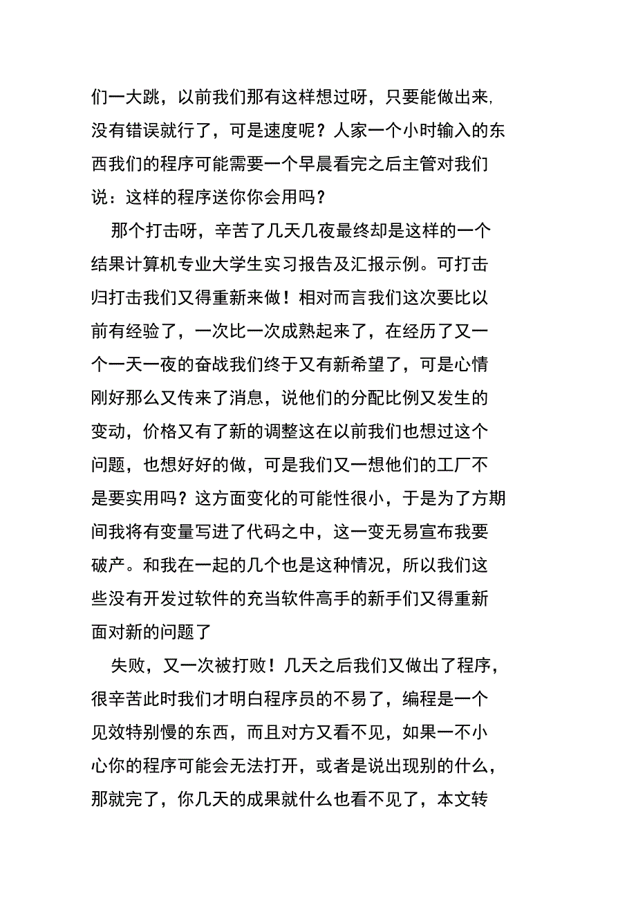 计算机专业大学生实习报告及汇报示例_第3页