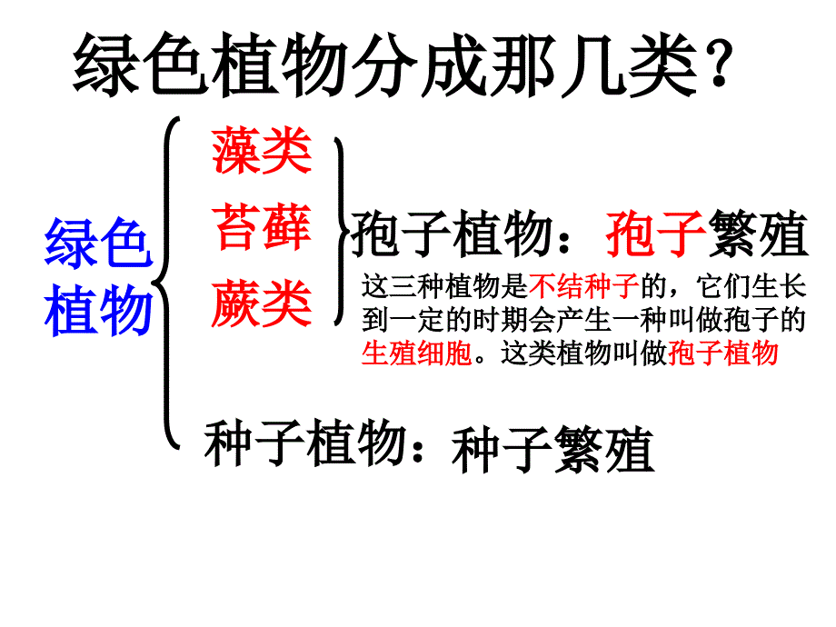 生物：第1章第1节藻类蕨苔藓植物课件(人教版七年级上)-副本_第3页