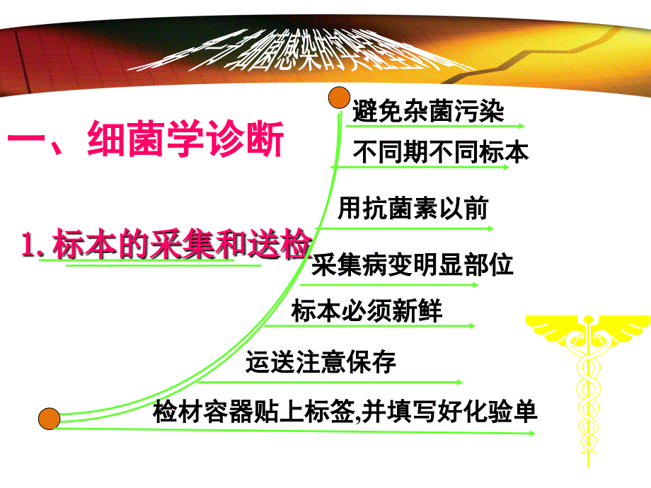 第7章细菌感染的检查与防治课件_第3页