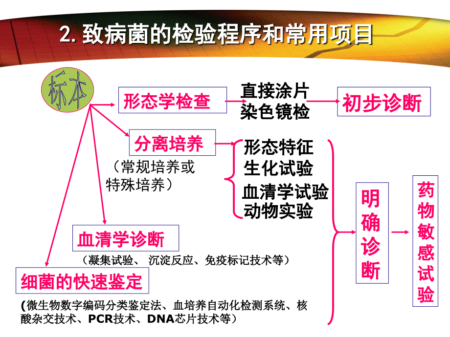 第7章细菌感染的检查与防治课件_第4页