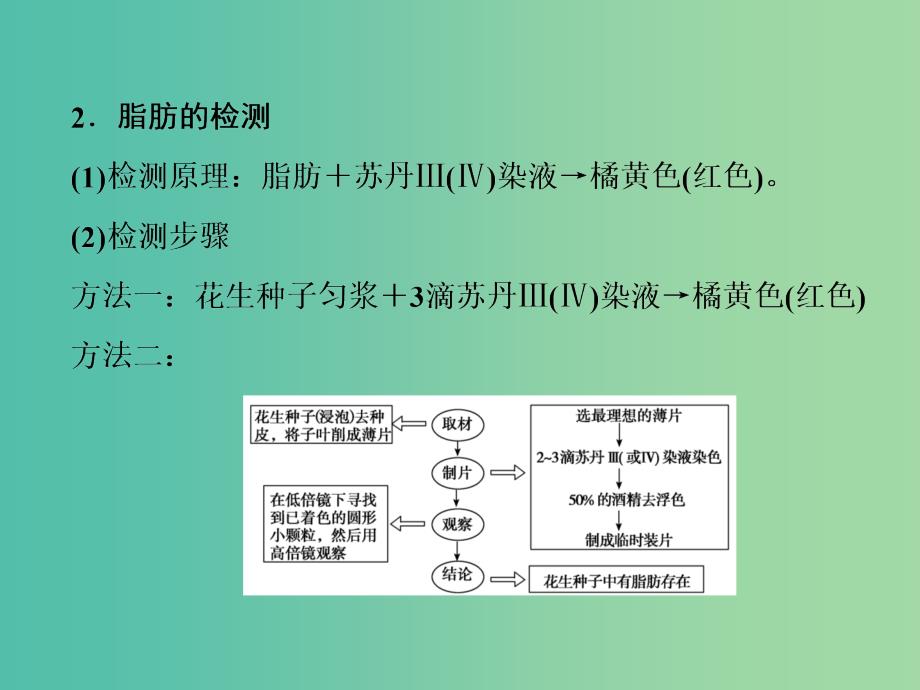 2019高考生物总复习 精彩三十三天（十六）细胞的分子组成3课件.ppt_第4页