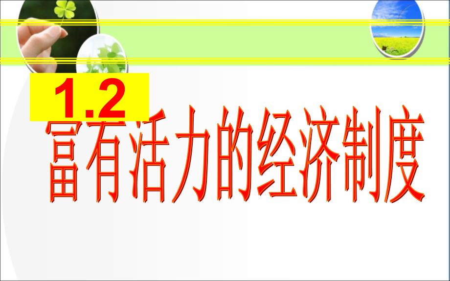 12富有活力的经济制度第一课时_第1页