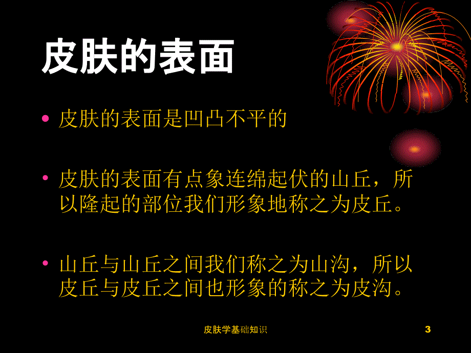 皮肤学基础知识课件_第3页