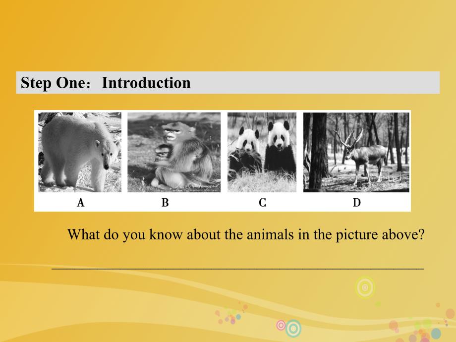 高中英语 Module 6 Animals in Danger Section 1 Introduction &amp; Reading-Pre-reading课件 外研版必修5_第2页