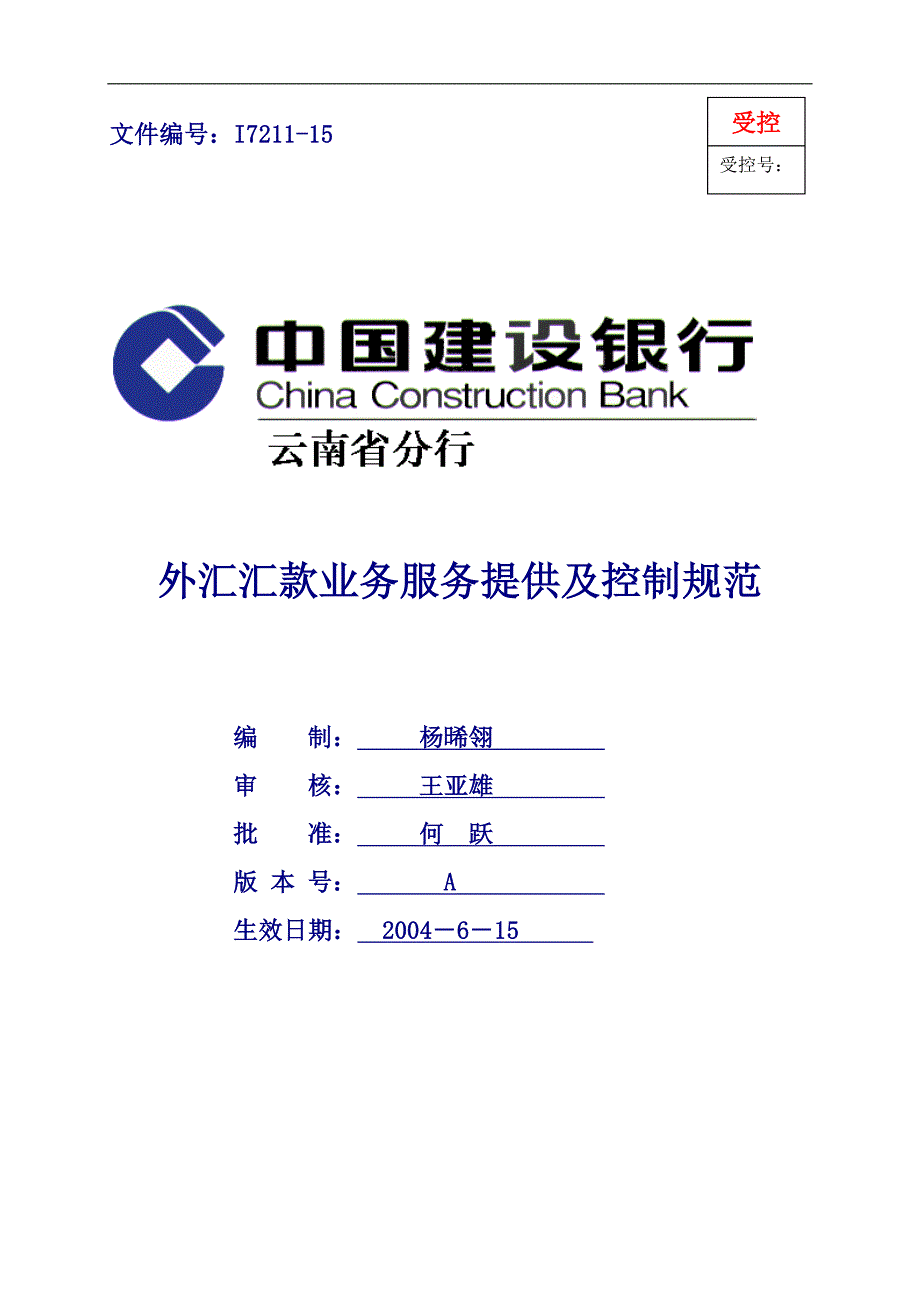 外汇汇款业务服务提供及控制规范_第1页