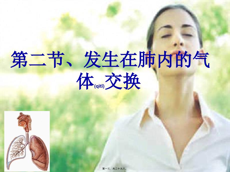 医学专题—发生在肺里的气体交换动画8141_第1页