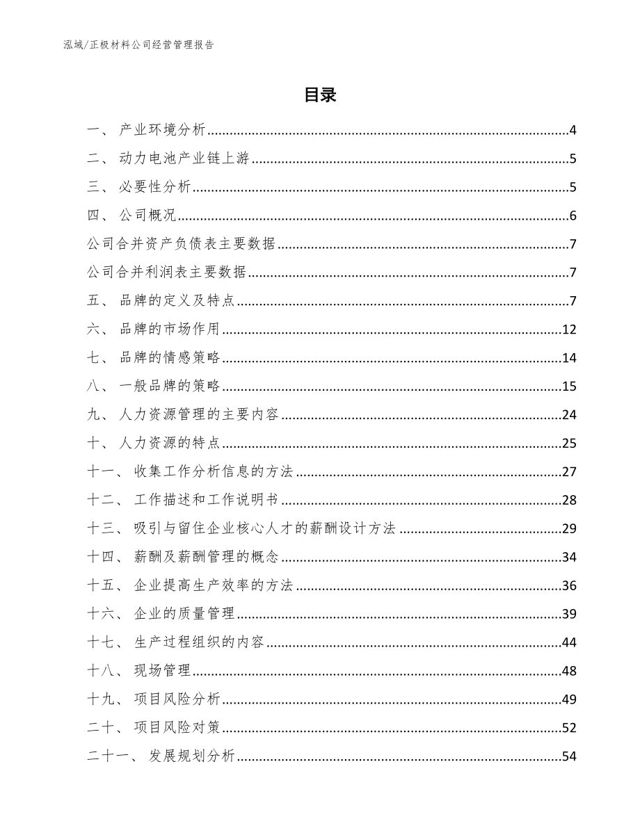 正极材料公司经营管理报告（范文）_第2页