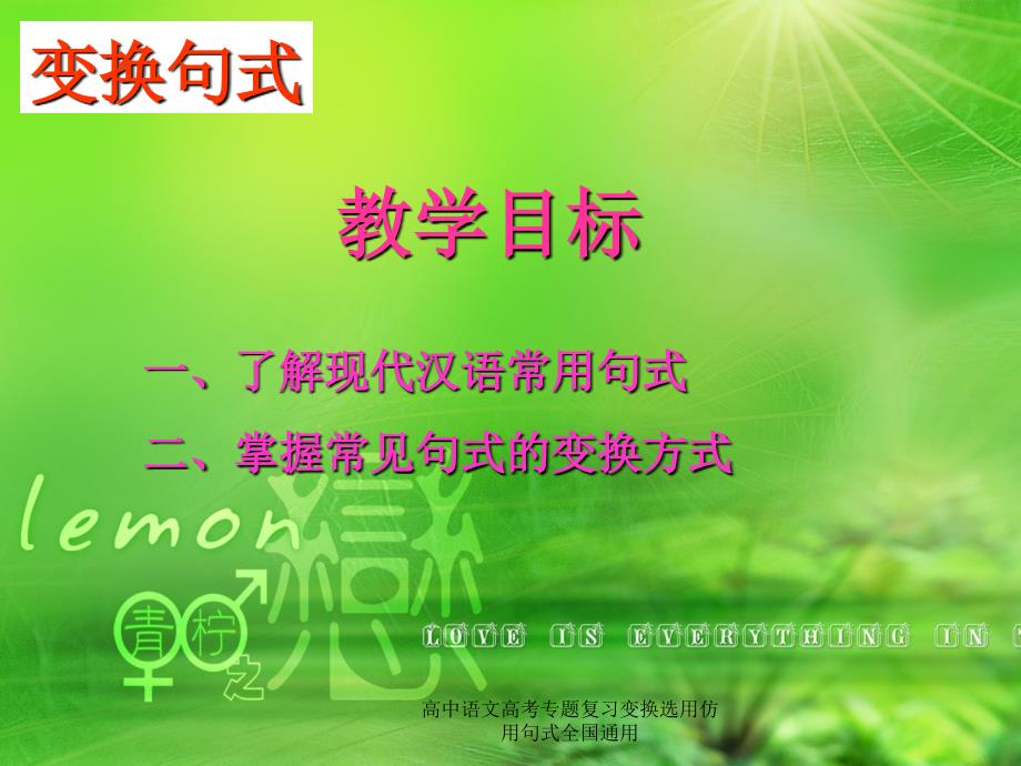 高中语文高考专题复习变换选用仿用句式全国通用课件_第3页