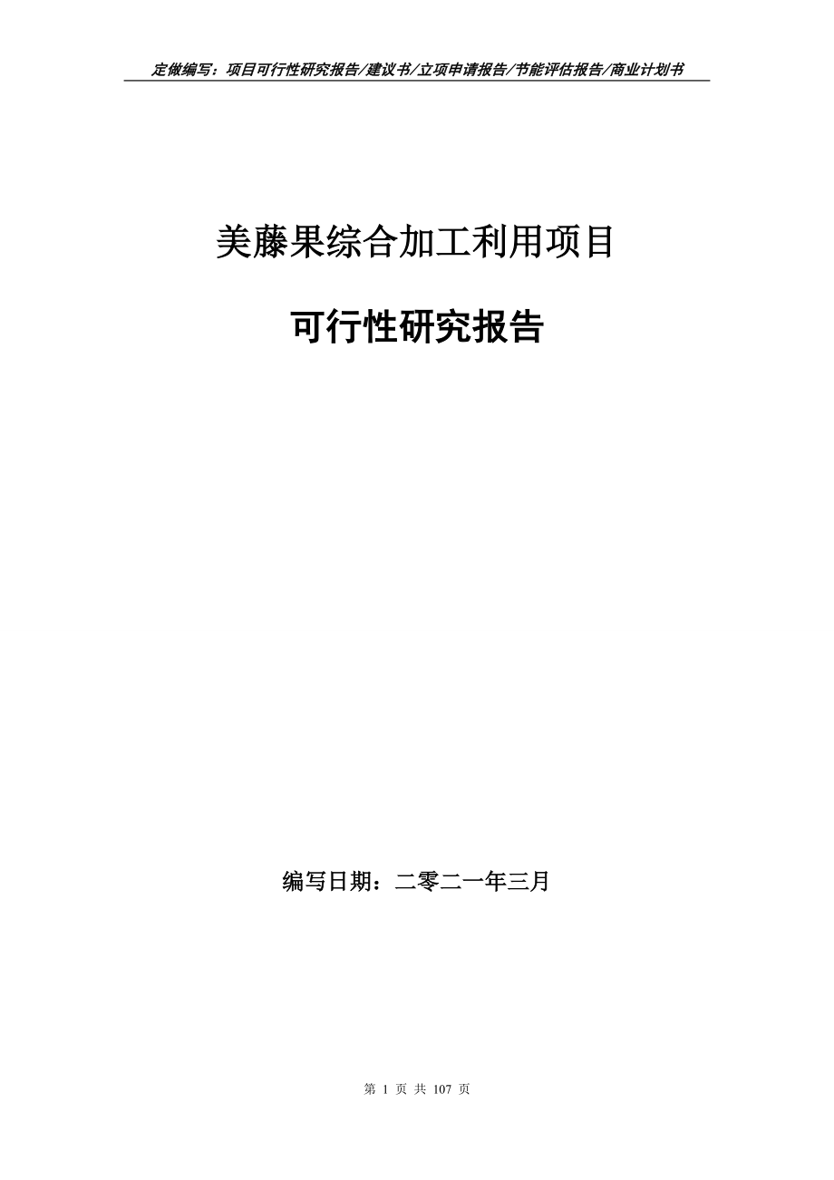 美藤果综合加工利用项目可行性研究报告写作范本_第1页