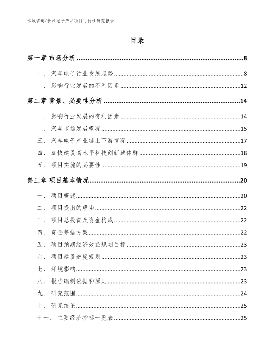 长沙电子产品项目可行性研究报告_参考范文_第2页