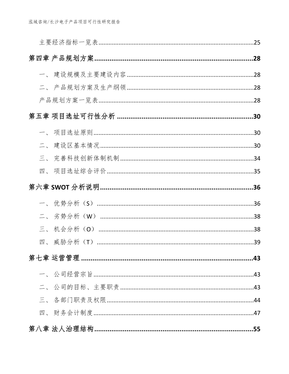 长沙电子产品项目可行性研究报告_参考范文_第3页