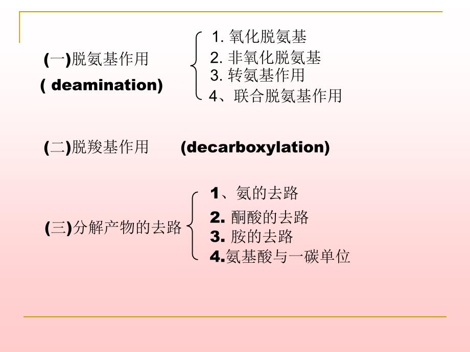 《含氮化合物代谢》PPT课件.ppt_第1页