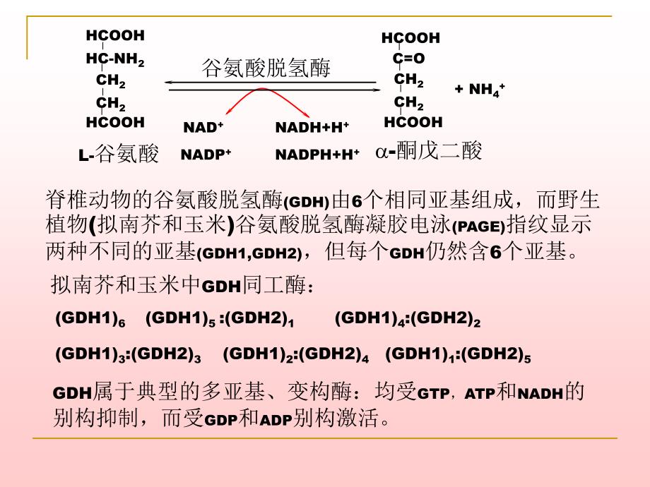 《含氮化合物代谢》PPT课件.ppt_第3页