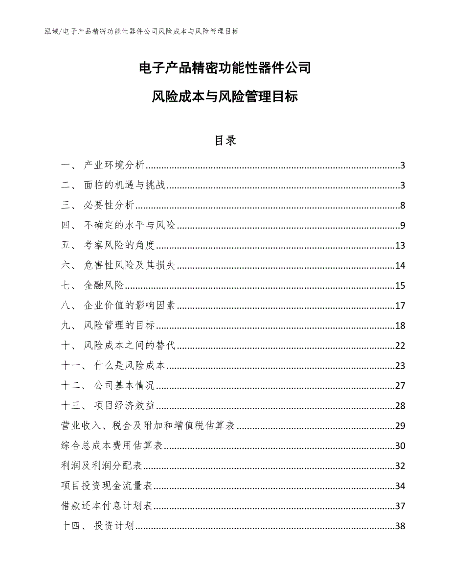 电子产品精密功能性器件公司风险成本与风险管理目标_第1页