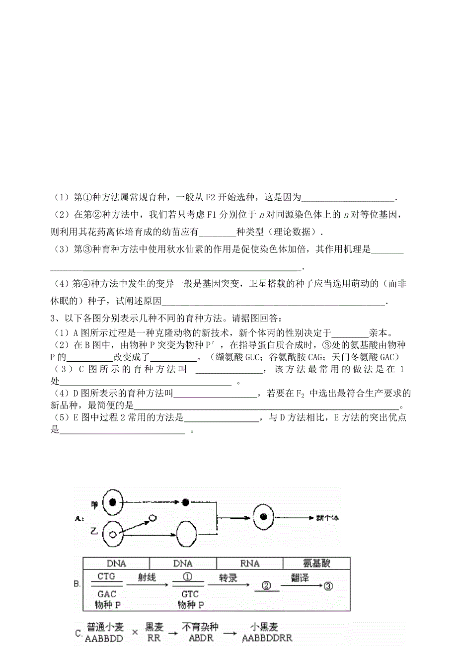 高考复习生物育种知识归类及练习(完整解答版)_第3页