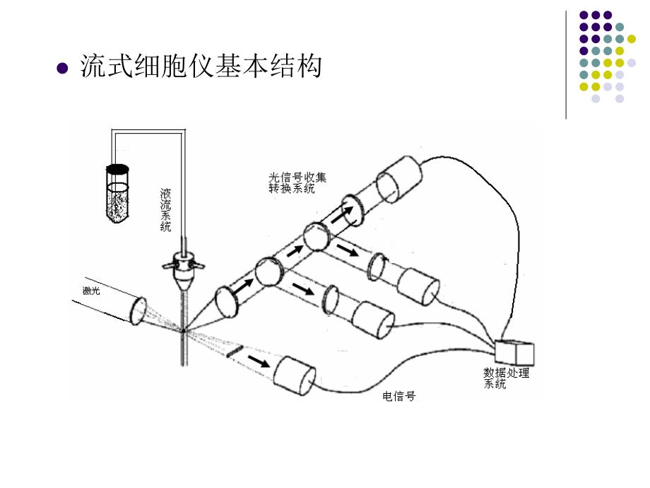 流式细胞仪FlowCytometer基础简介_第4页