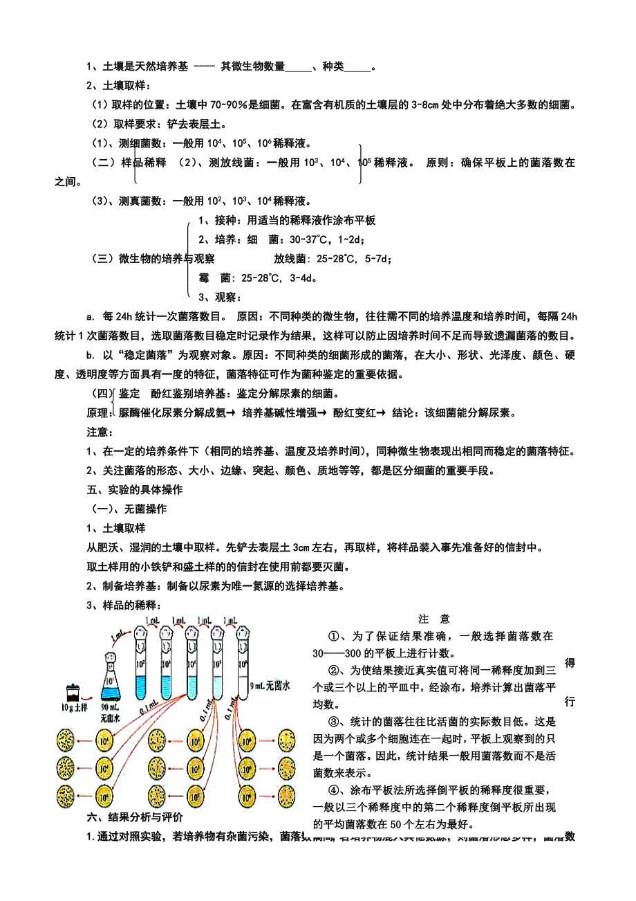 土壤中分解尿素的细菌的分离与计数导学案_第2页