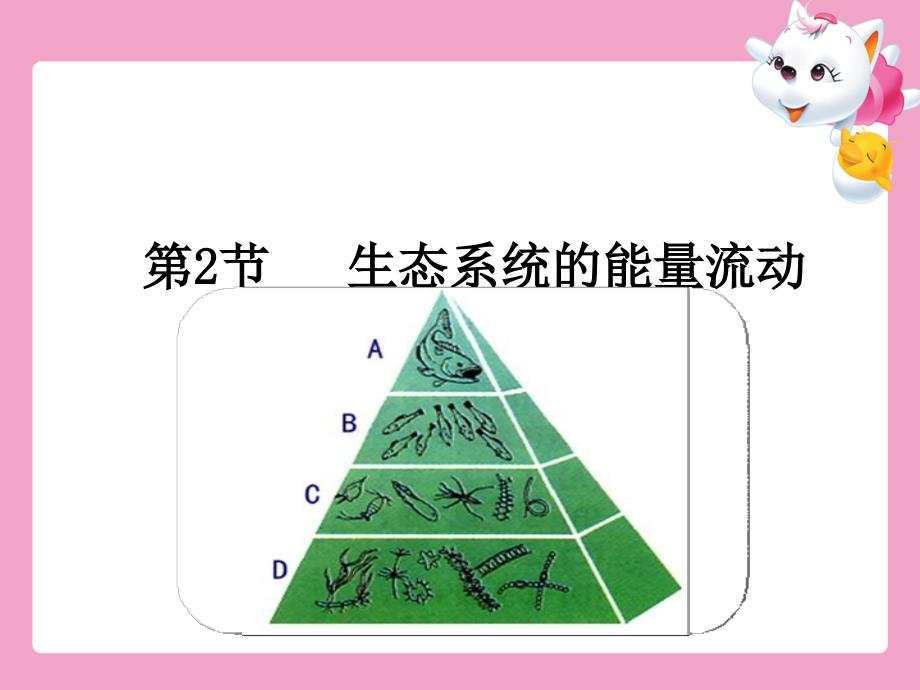 5.2生态系统的能量流动_第2页