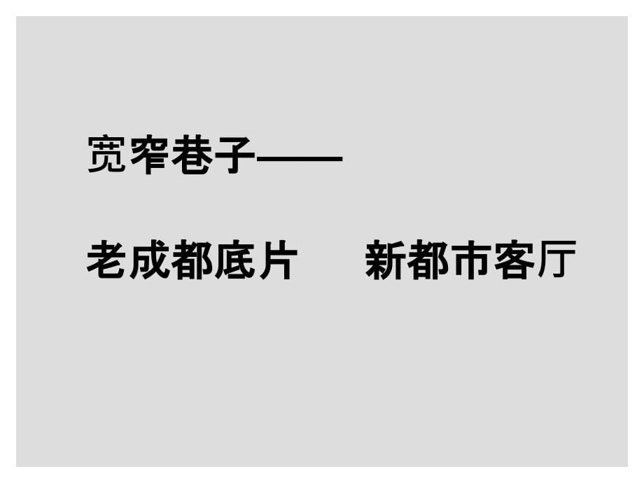 成都宽窄巷子规划设计_第5页