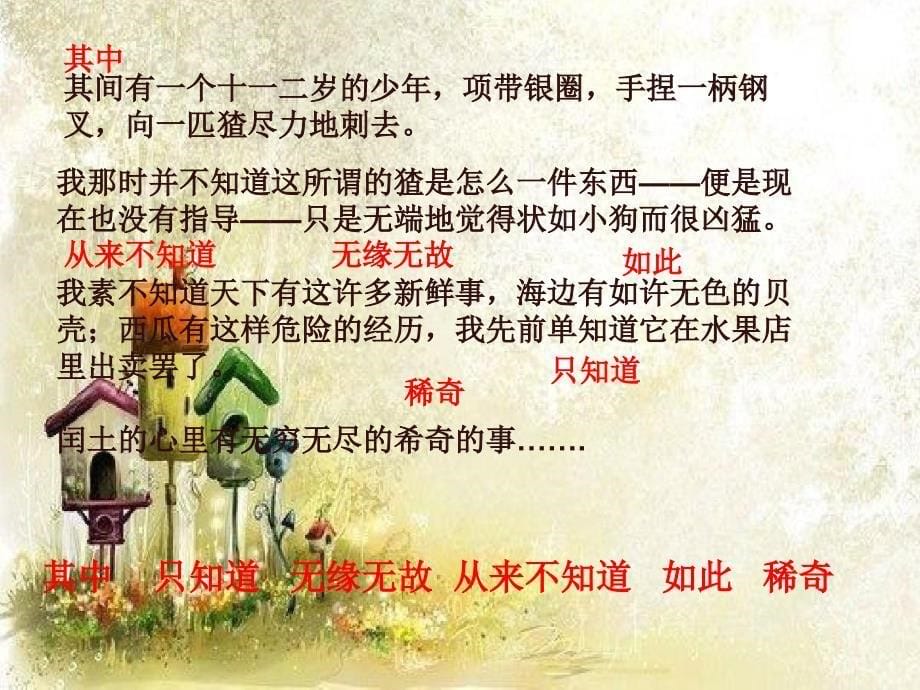 少年闰土2-PPT课件.ppt_第5页