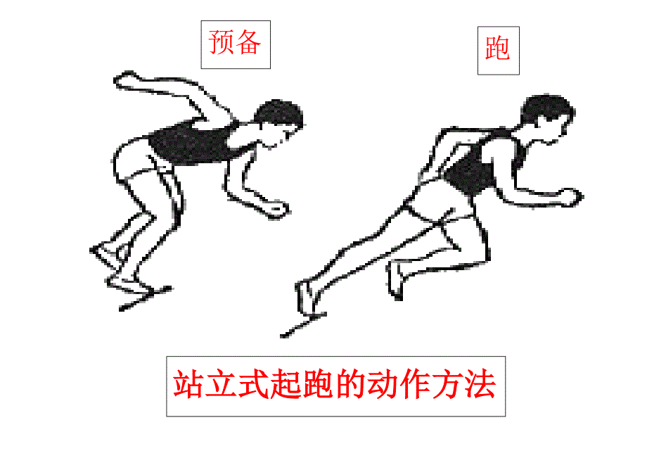 站立式起跑的动作要领.doc_第1页
