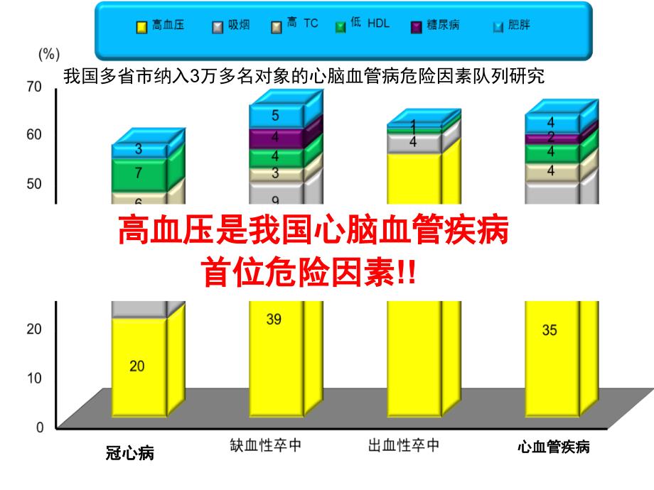 营养与食品卫生学课件：膳食、营养与高血压_第2页