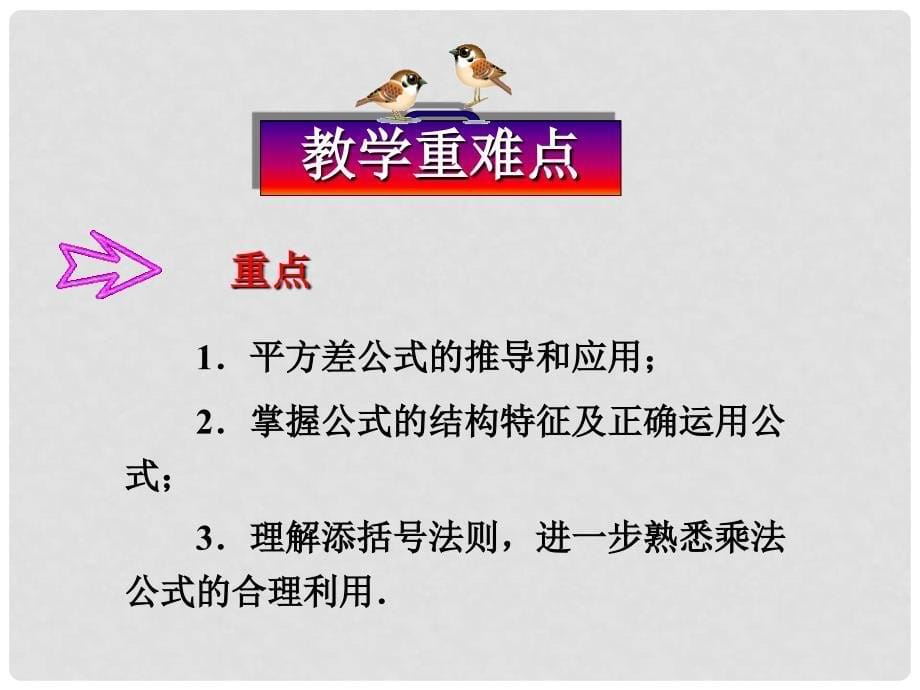 安徽省安庆市桐城吕亭初级中学八年级数学上册 平方差公式课件 新人教版_第5页