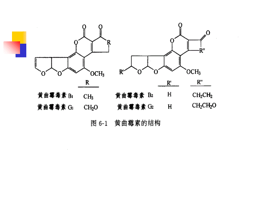 有害物质解读课件_第4页