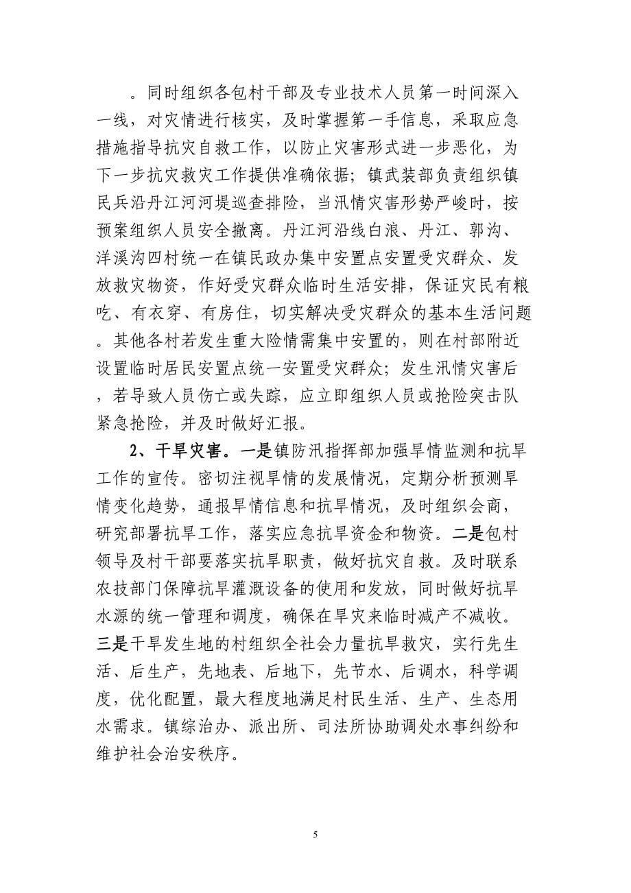 白浪镇防汛抗旱应急预案(定稿)（天选打工人）.docx_第5页