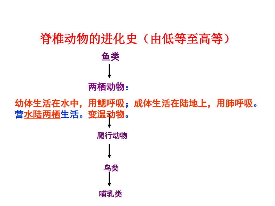 第三节两栖动物的生殖和发育课件_第3页