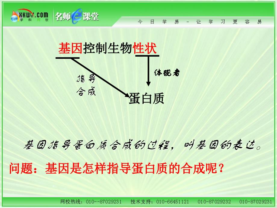 第一节基因控制蛋白质的合成_第4页