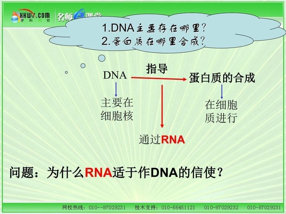 第一节基因控制蛋白质的合成_第5页