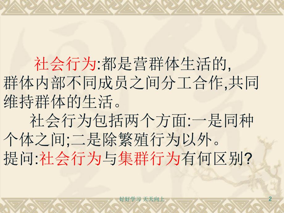 人教部编版八年级初二生物上册-社会行为-名师教学PPT课件_第2页