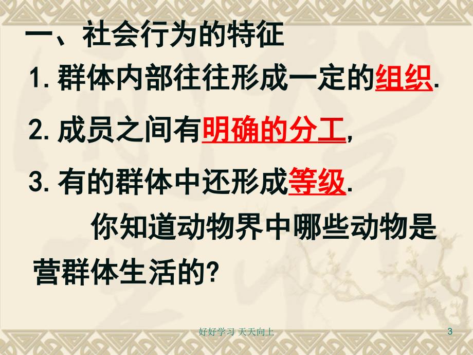 人教部编版八年级初二生物上册-社会行为-名师教学PPT课件_第3页