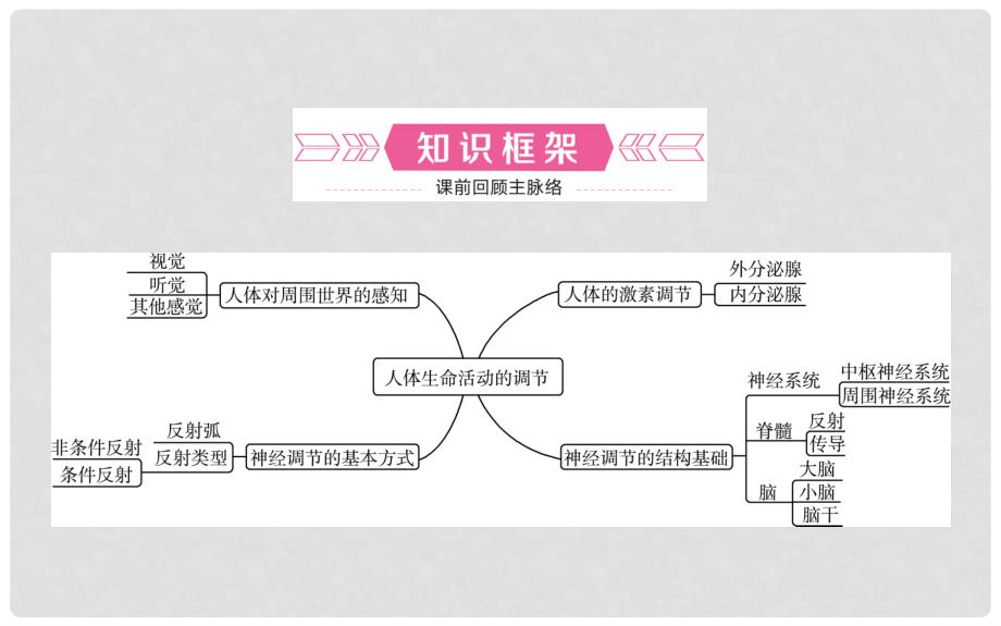 山东省济南市中考生物 第三单元 生物圈中的人 第五章 人体生命活动的调节课件_第2页