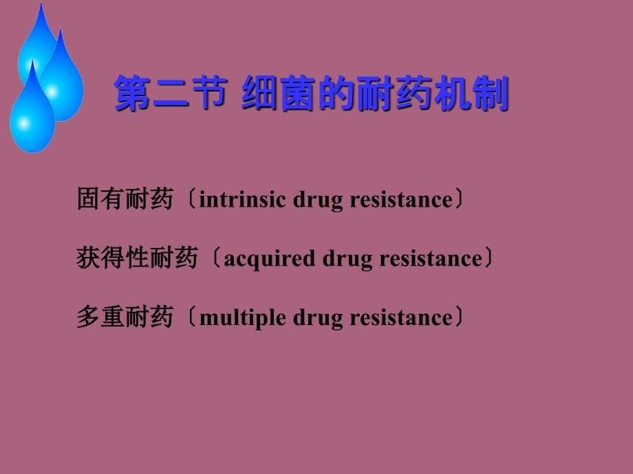 细菌的耐药性ppt课件_第5页