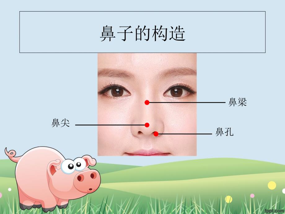 翘鼻子噜噜课件经典实用_第3页