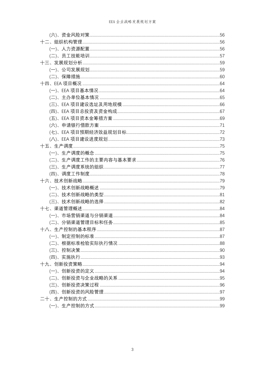 2023年EEA企业战略发展规划方案_第3页