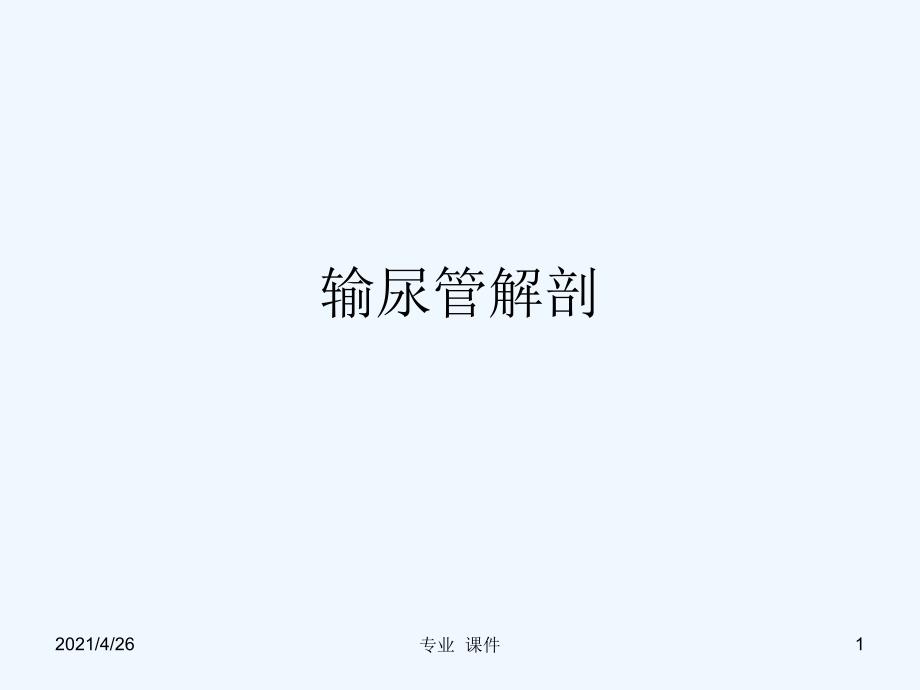 输尿管解剖（教学课件）_第1页