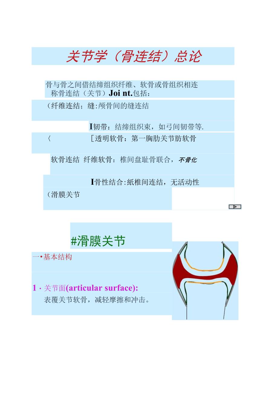 人体解剖学名校精品课件运动系统二汇总_第1页