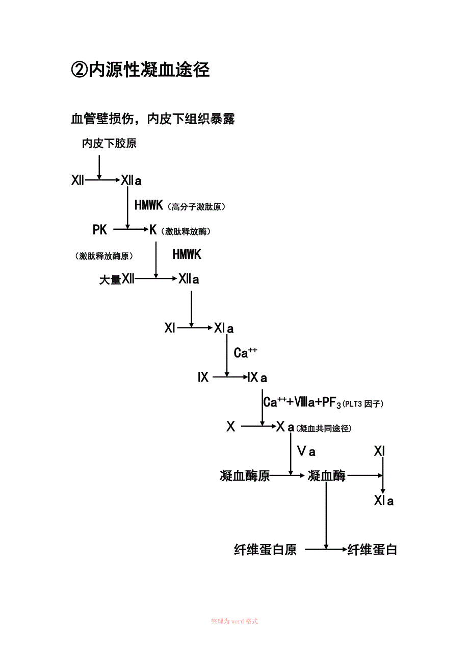 内源性凝血途径_第2页