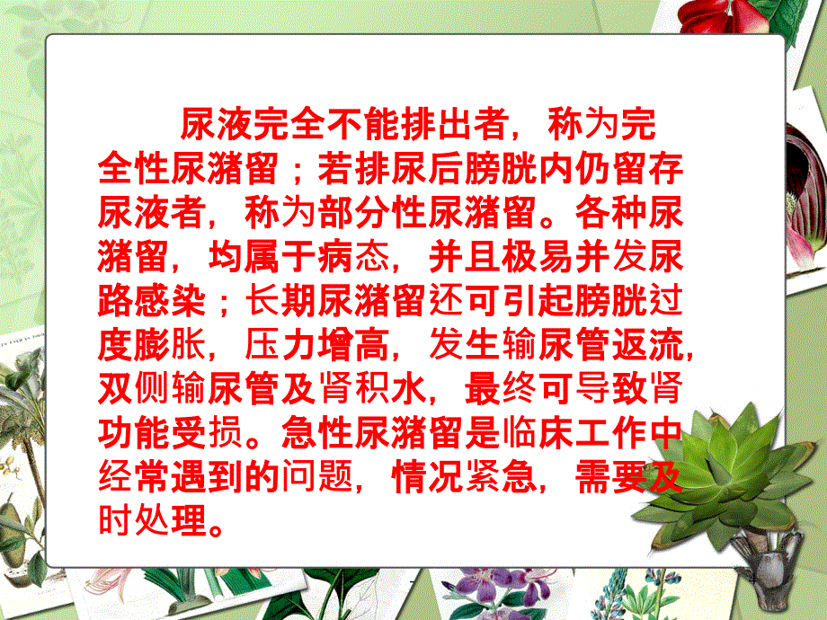 尿潴留的护理PPT课件_第4页